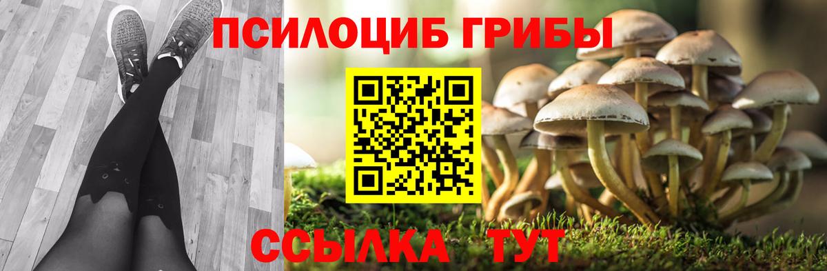 Галлюциногенные грибы Psilocybine cubensis  Псилоцибиновые грибы Psilocybine cubensis  Славянск-на-Кубани  Вход с VPN 