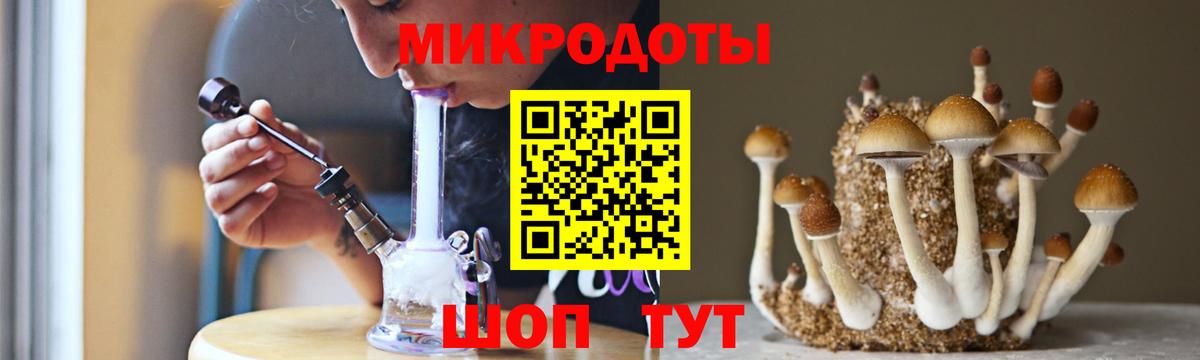 Галлюциногенные грибы Psilocybine cubensis Славянск-на-Кубани